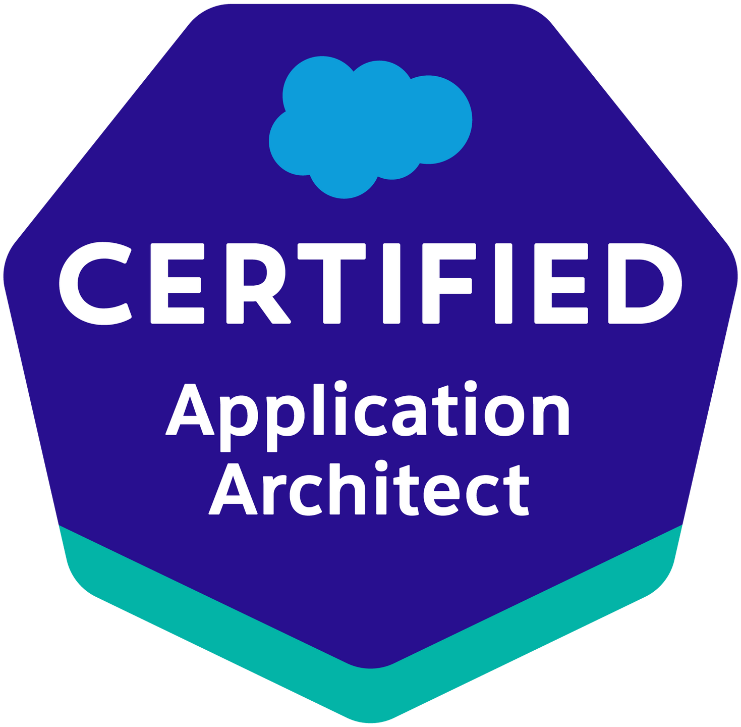 Application Architect Application Architect