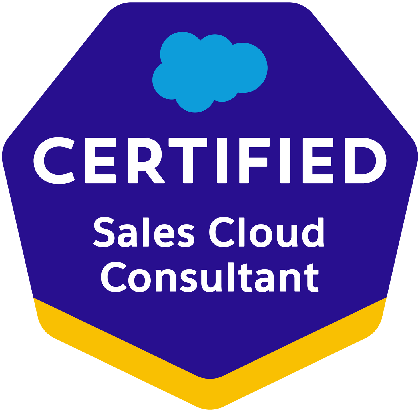 Sales Cloud Consultant Sales Cloud Consultant
