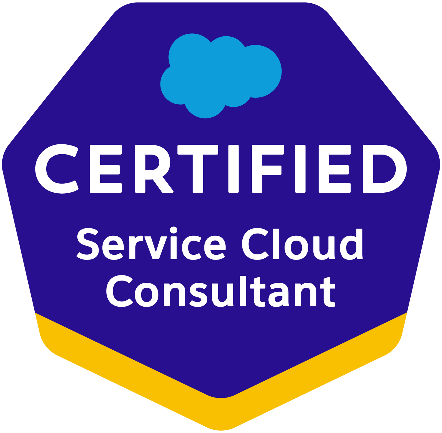 Service Cloud Consultant Service Cloud Consultant