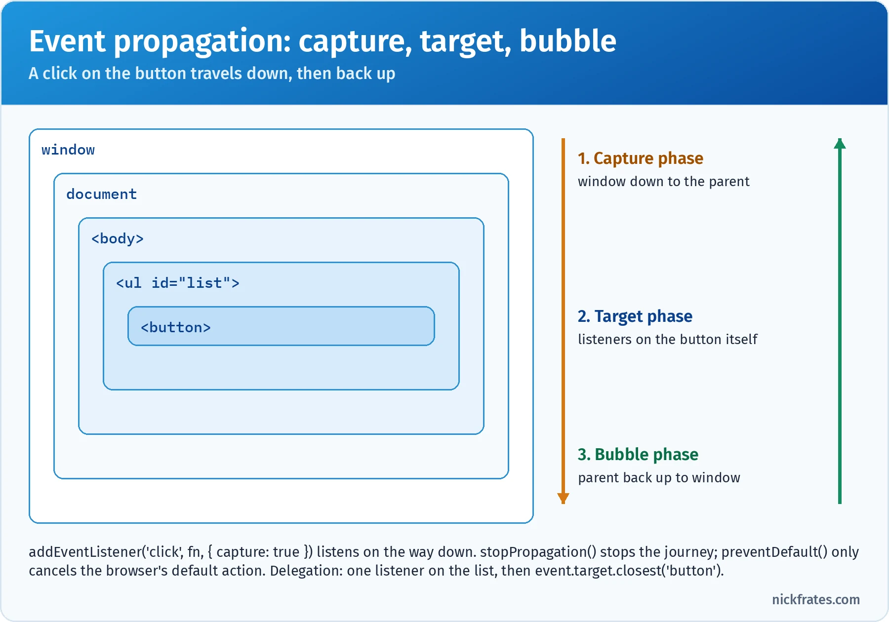Event propagation for a click on a button inside a list inside the body: in the capture phase the event travels from window through document, body and the list down to the button; in the target phase listeners on the button run; in the bubble phase the event travels back up to window; addEventListener with capture true listens on the way down, stopPropagation stops the journey, preventDefault only cancels the default action, and delegation puts one listener on the list and uses event.target.closest