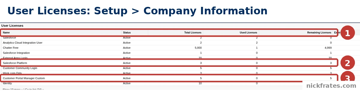 Salesforce Setup > Company Information > User Licenses table with the columns Name, Status, Total Licenses, Used Licenses and Remaining Licenses (1), the Salesforce Platform row (2) and the Customer Portal Manager Custom row (3).