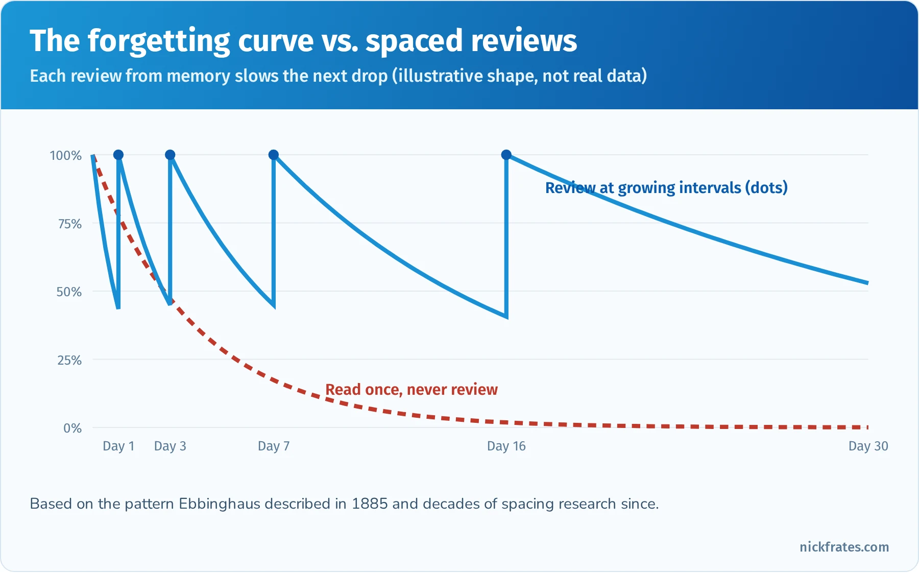 Illustrative forgetting curve: without review, retention drops steeply over 30 days; with reviews from memory on days 1, 3, 7 and 16, each drop is slower and retention stays high